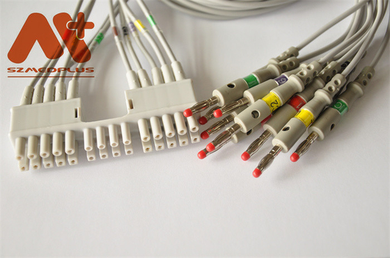 Kabel EKG Mortara Burdick 10 Timbal 9293-041-50 Untuk Mesin EKG